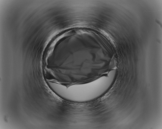 X0000095121334200801041214