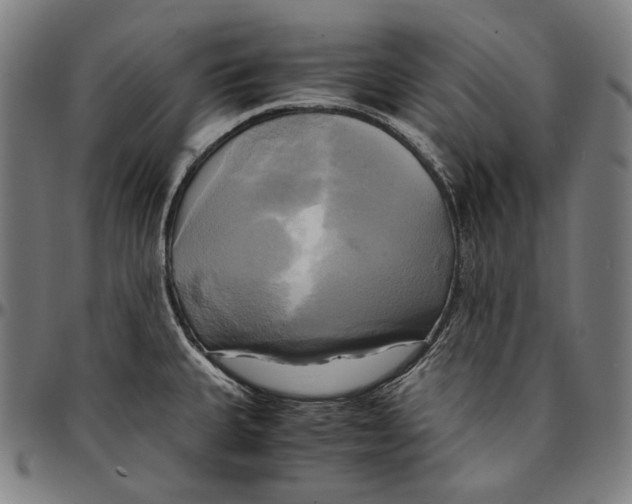 X0000095121335200801041214