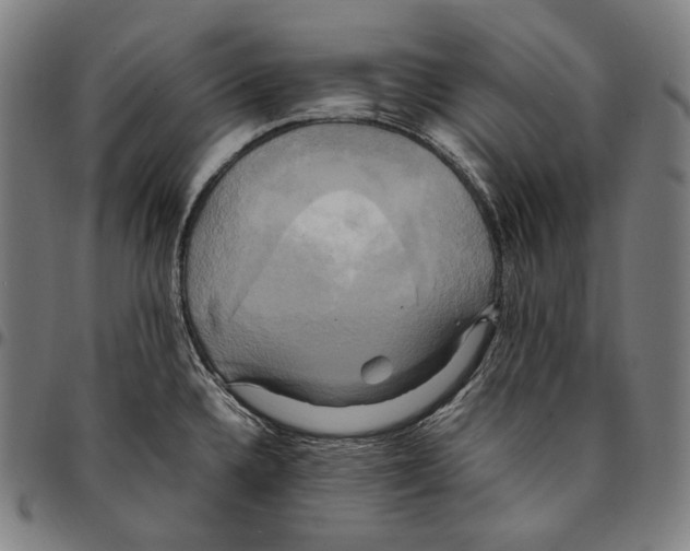 X0000095121336200801041214