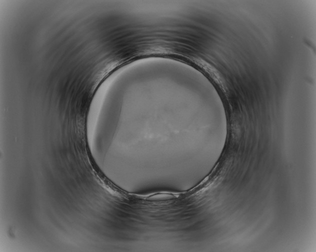 X0000095121337200801041214