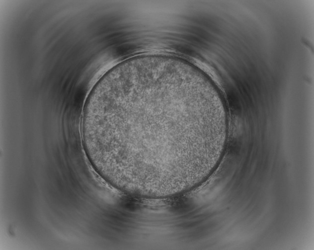 X0000095121338200801041214