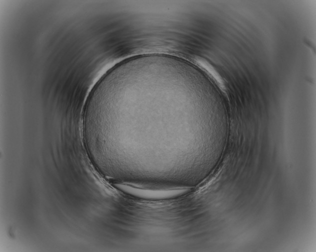 X0000095121340200801041214