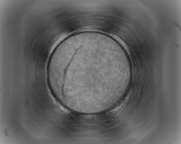 X0000095121341200801041214