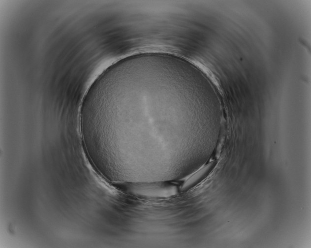 X0000095121342200801041214