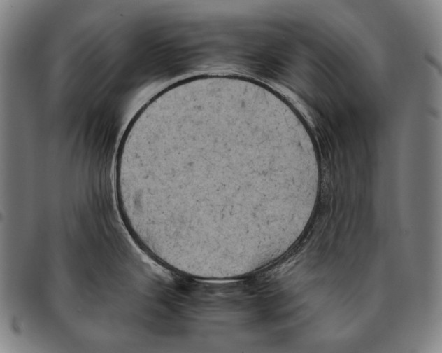 X0000095121343200801041214