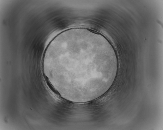 X0000095121344200801041214