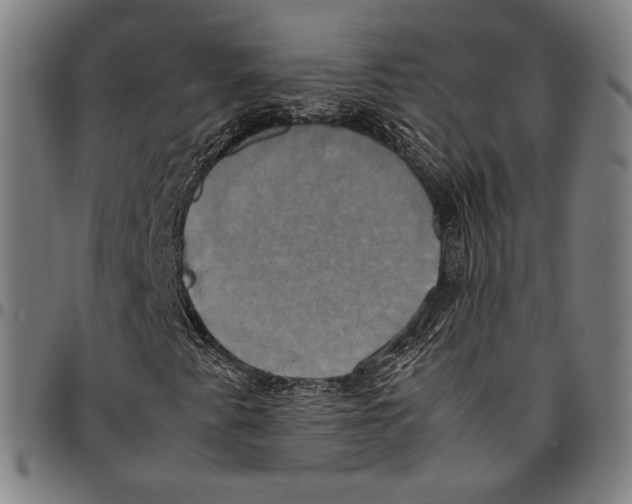 X0000095121345200801041214