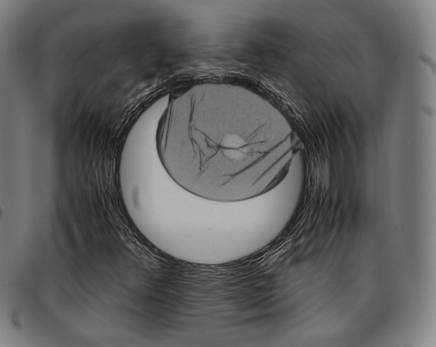 X0000095121348200801041214