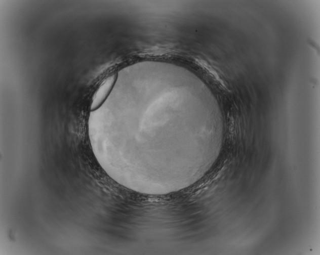 X0000095121350200801041214