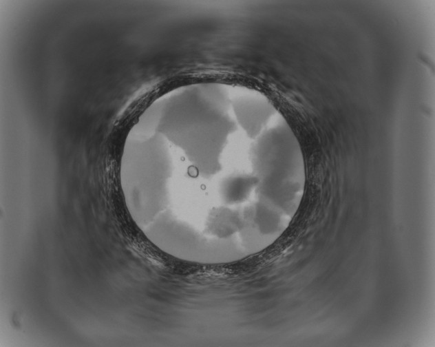 X0000095121351200801041214