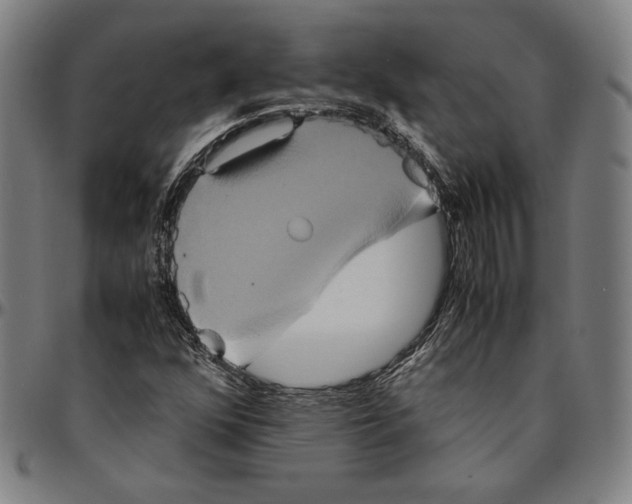 X0000095121352200801041214