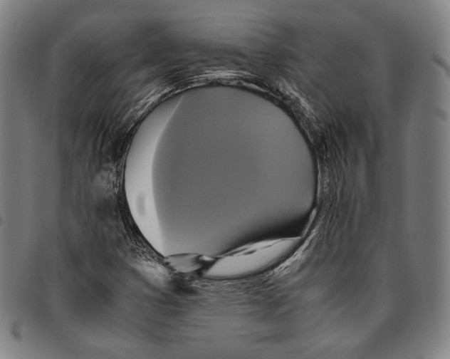 X0000095121353200801041214