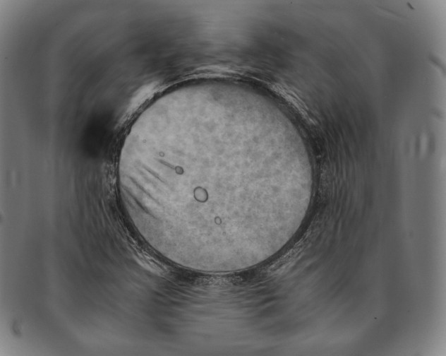 X0000095121355200801041214