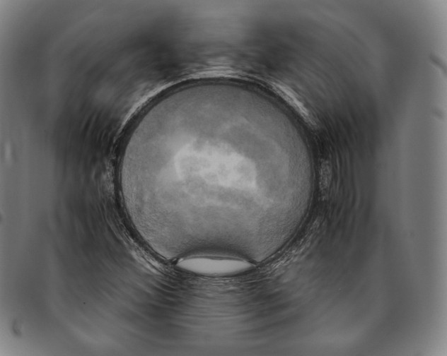 X0000095121356200801041214