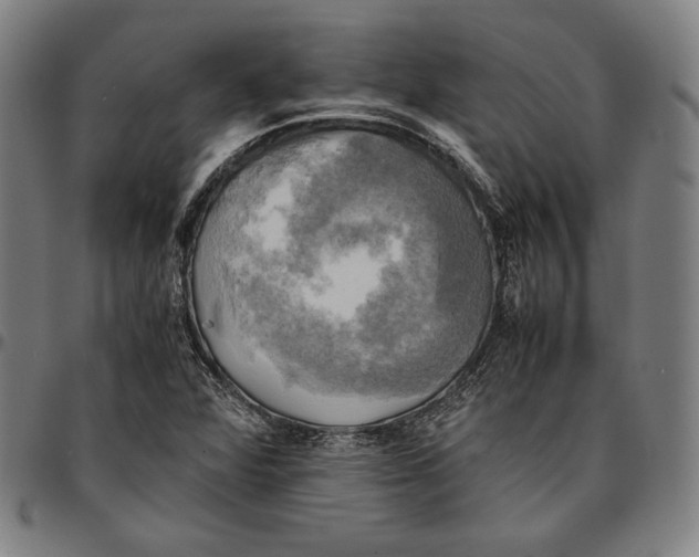 X0000095121360200801041214