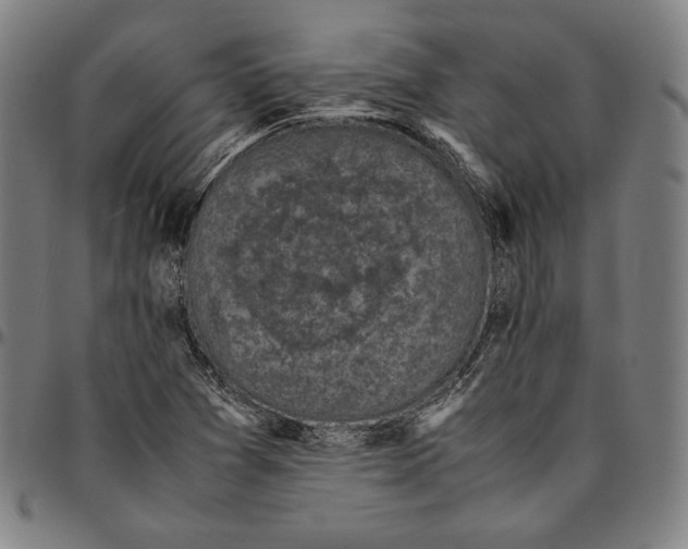 X0000095121361200801041214