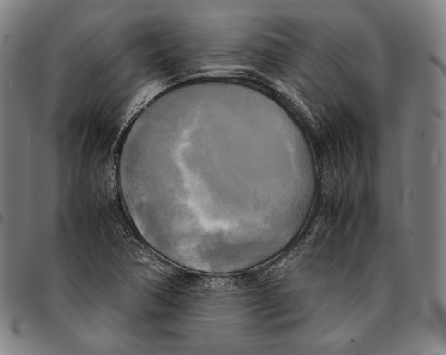 X0000095121362200801041214