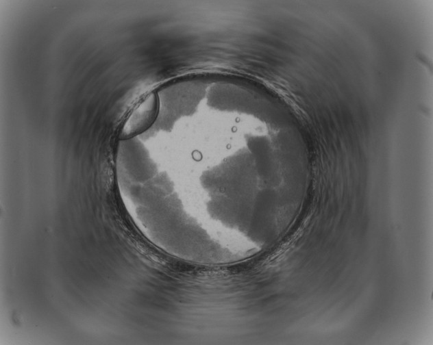 X0000095121363200801041214