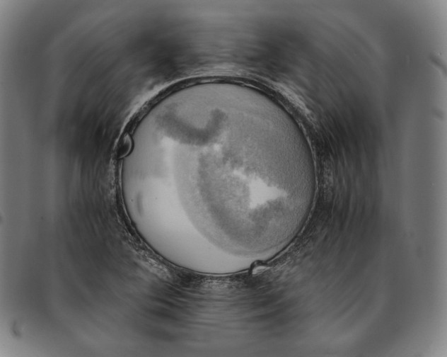 X0000095121364200801041214