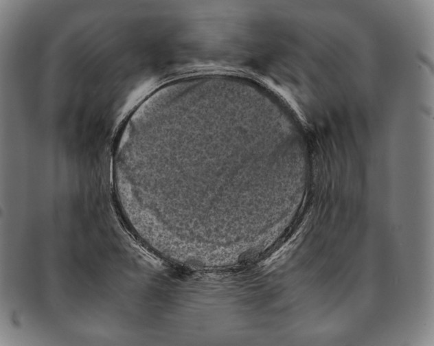 X0000095121365200801041214