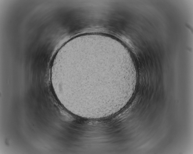 X0000095121366200801041214