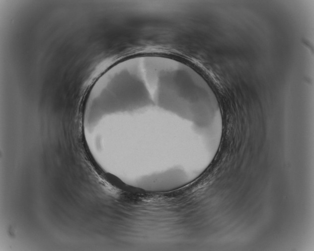 X0000095121367200801041213