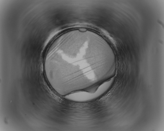 X0000095121368200801041213