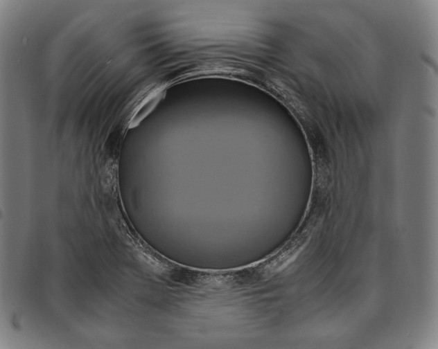 X0000095121369200801041213