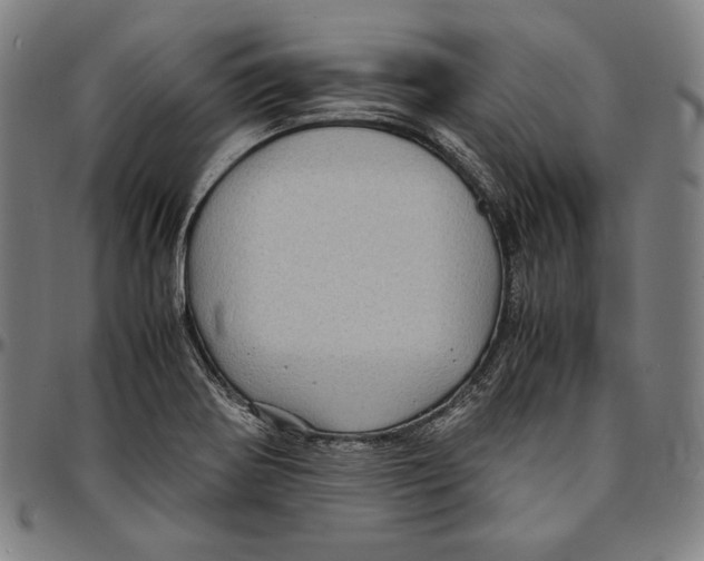 X0000095121370200801041213