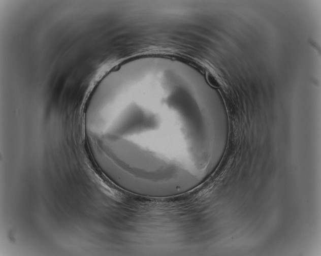 X0000095121371200801041213