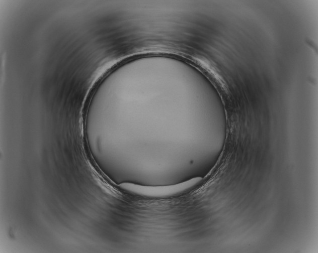 X0000095121372200801041213