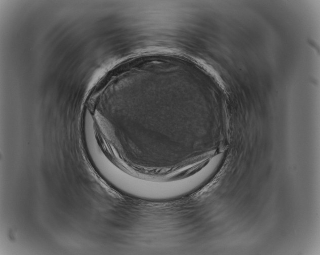 X0000095121373200801041213