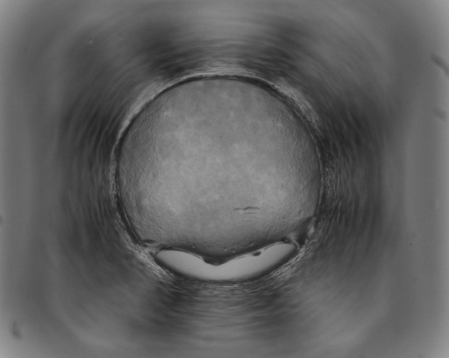 X0000095121374200801041213