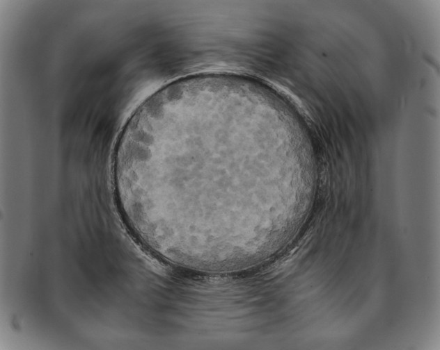 X0000095121375200801041213