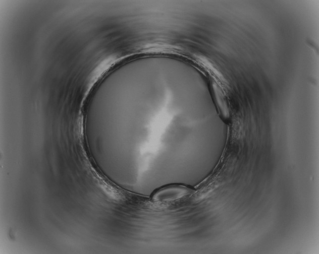 X0000095121376200801041213