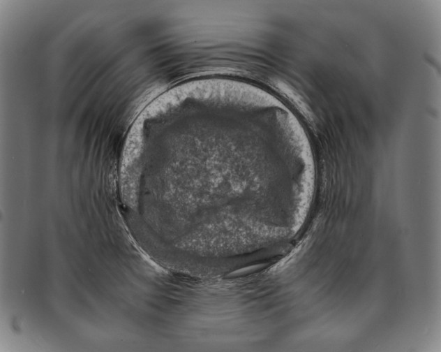 X0000095121377200801041213