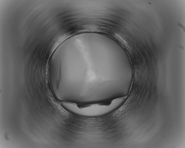 X0000095121378200801041213