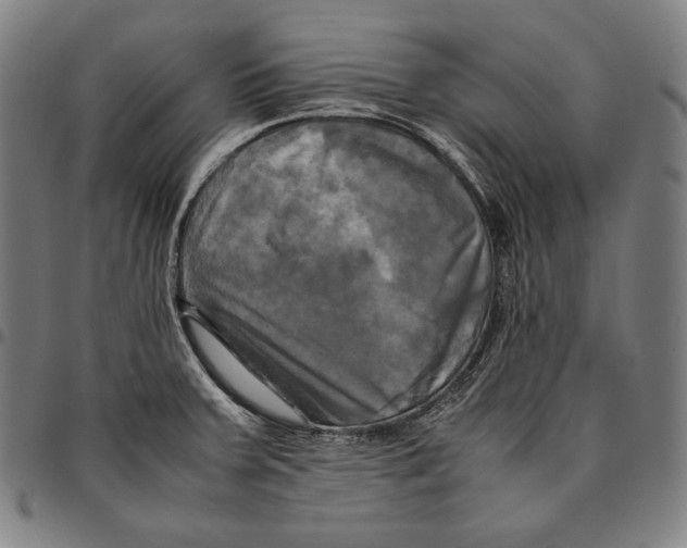 X0000095121379200801041213