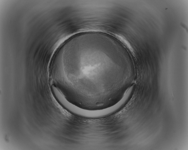 X0000095121380200801041213