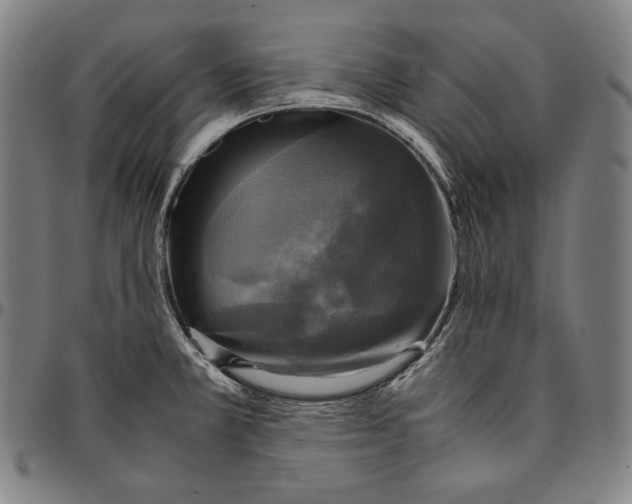 X0000095121381200801041213