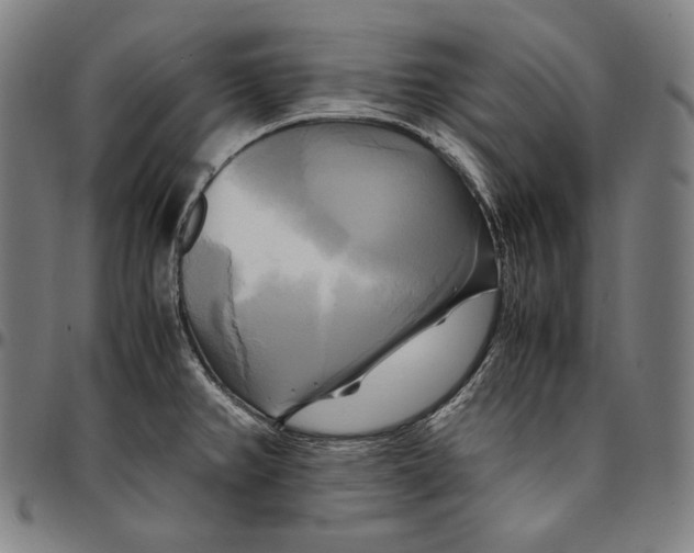 X0000095121382200801041213