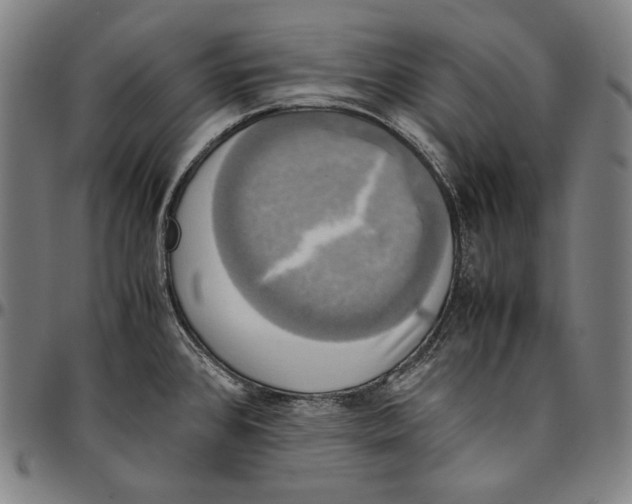 X0000095121384200801041213