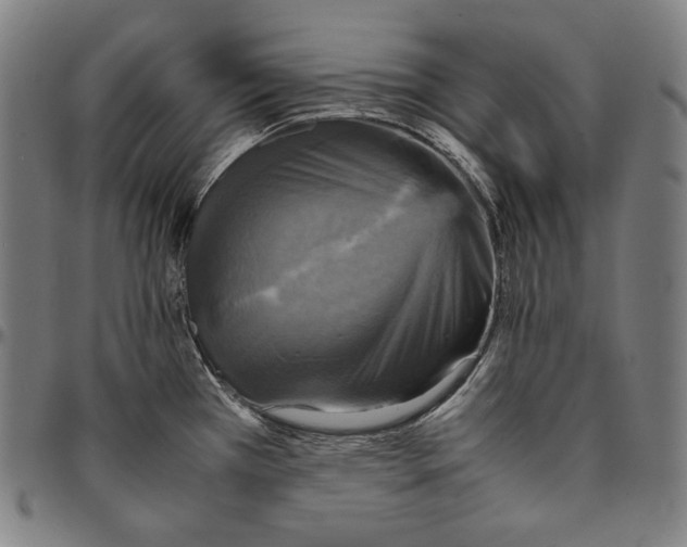 X0000095121385200801041213