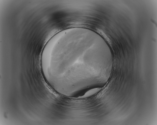 X0000095121386200801041213