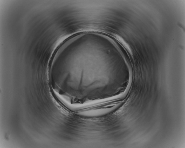 X0000095121388200801041213