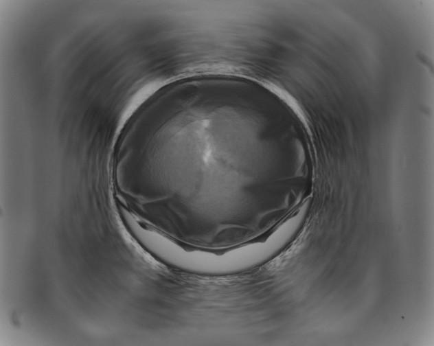 X0000095121389200801041213