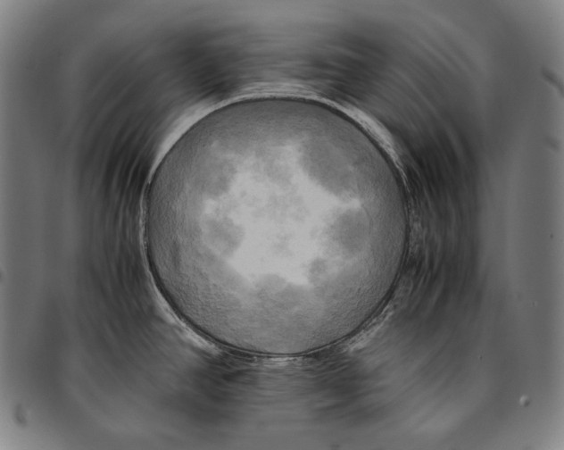 X0000095121390200801041213