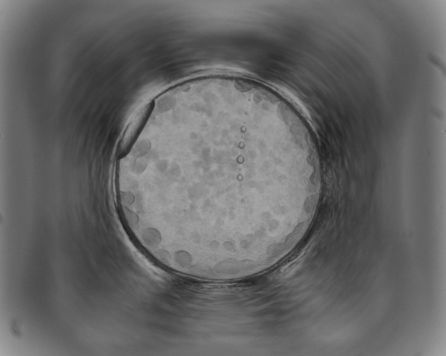 X0000095121391200801041213