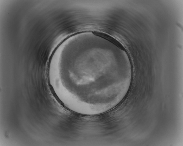 X0000095121392200801041213