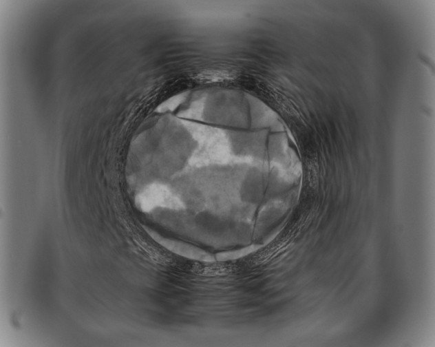 X0000095121393200801041212